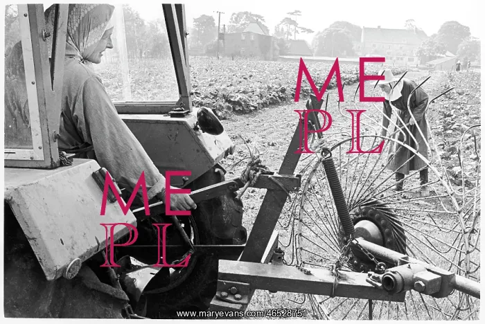 : Benedictine nuns farming, Minster Abbey : Benedictine nuns farming, Minster Abbey