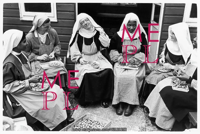 : Benedictine nuns sorting gooseberries, St Cecilia's Abbey : Benedictine nuns sorting gooseberries, St Cecilia's Abbey