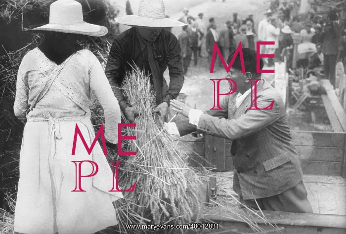 : Benito Mussolini during the harvest, 1936 : Benito Mussolini during the harvest, 1936