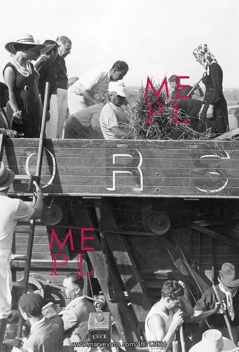 : Benito Mussolini during the harvest, 1936 : Benito Mussolini during the harvest, 1936