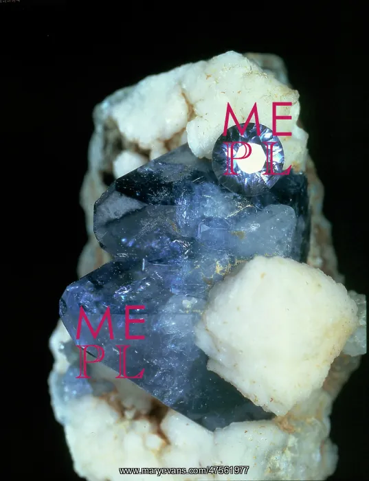 : Benitoite crystal and cut stone : Benitoite crystal and cut stone