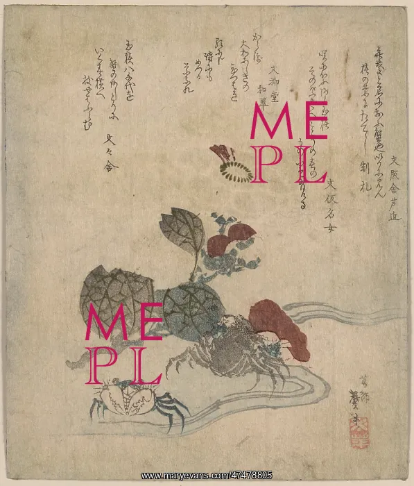 : Benkei crab and camellia : Benkei crab and camellia