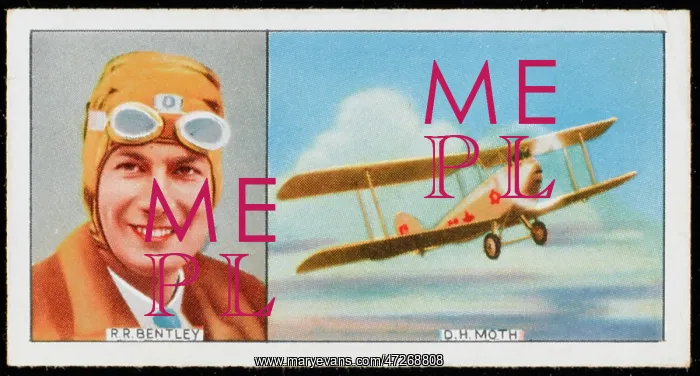 : Bentley - Dh Moth : Bentley - Dh Moth