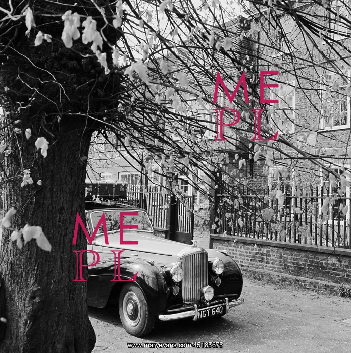 : Bentley in Hampstead : Bentley in Hampstead