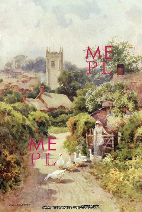 : BERE REGIS, DORSET : BERE REGIS, DORSET