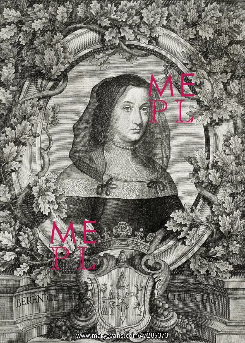 : BERENICE CHIGI : BERENICE CHIGI