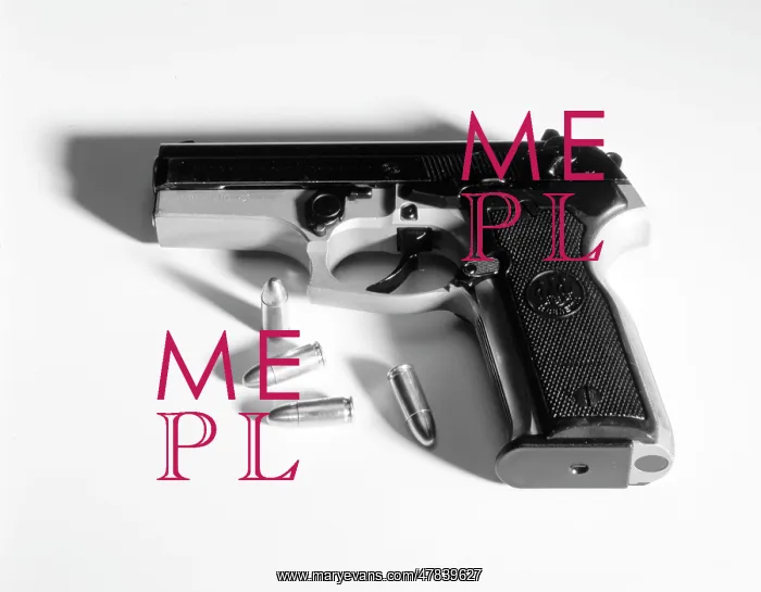 : Beretta automatic pistol : Beretta automatic pistol