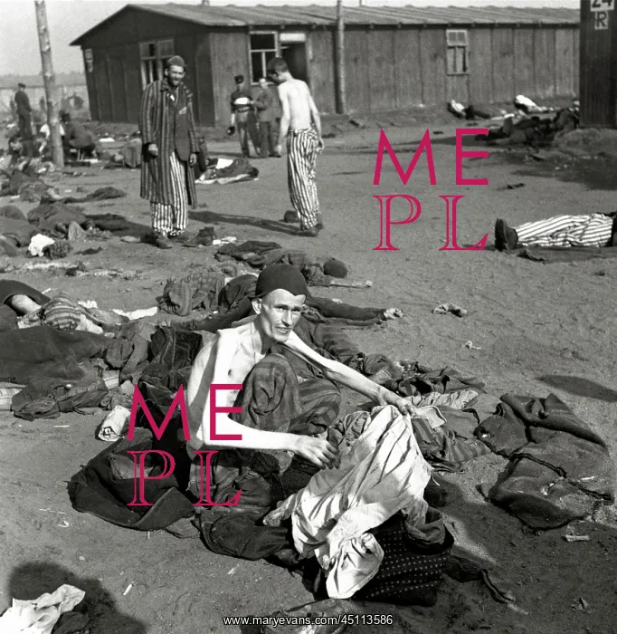 : Bergen-Belsen Concentration Camp : Bergen-Belsen Concentration Camp