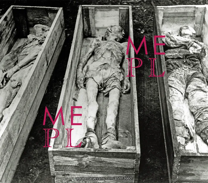 : Bergen-Belsen Concentration Camp - Corpses of dead inmates : Bergen-Belsen Concentration Camp - Corpses of dead inmates