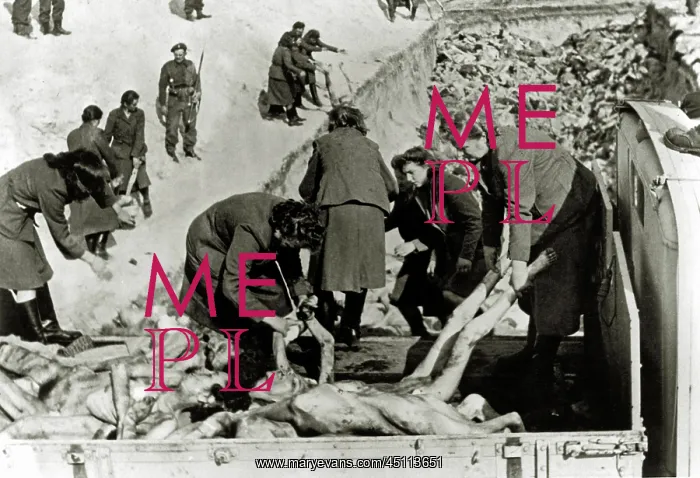 : Bergen-Belsen Concentration Camp - A mass grave : Bergen-Belsen Concentration Camp - A mass grave