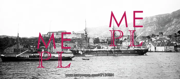  : bergen harbour norway