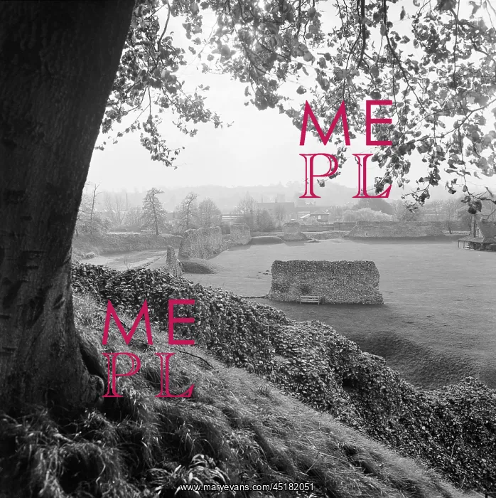 : Berkhamsted Castle : Berkhamsted Castle