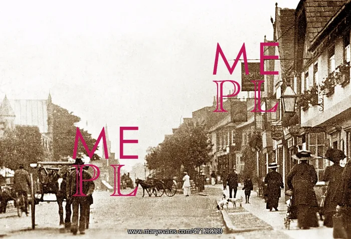 : Berkhamsted High Street early 1900s