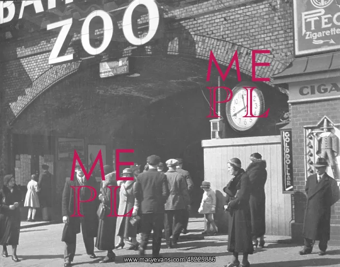 : The Berlin Zoological Garden : The Berlin Zoological Garden