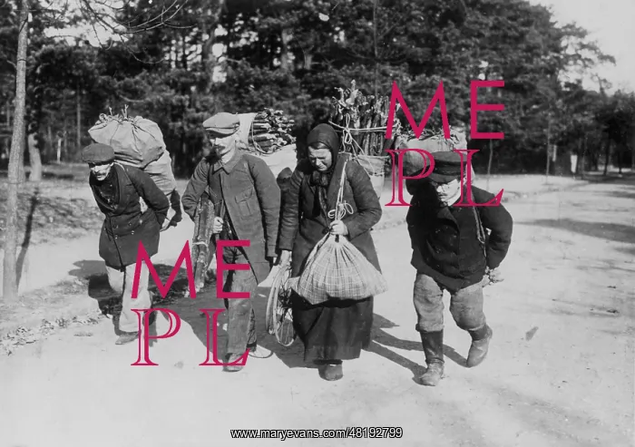 : Berliner collecting firewood, 1920 : Berliner collecting firewood, 1920