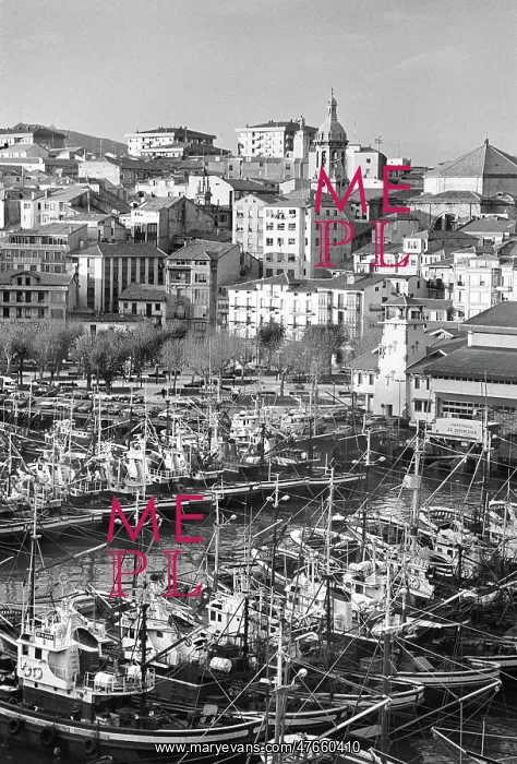 : Bermeo harbour, Spain : Bermeo harbour, Spain