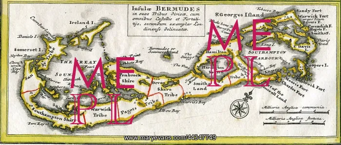  : Bermuda