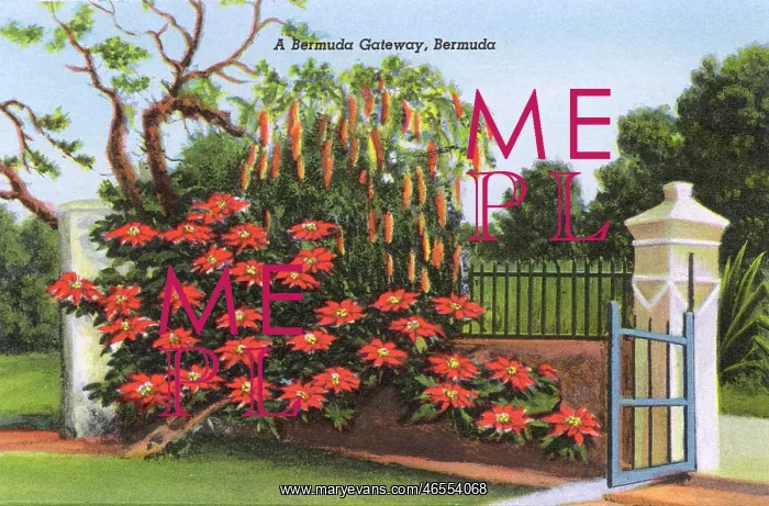  : A Bermuda Gateway