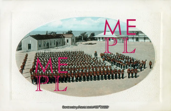 : Bermuda - Regiment on Parade : Bermuda - Regiment on Parade