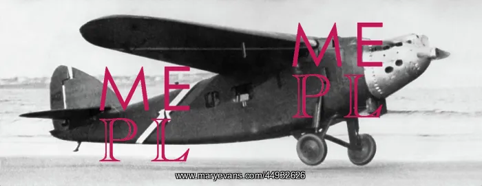  : Bernard 191Gr Oiseau Canari