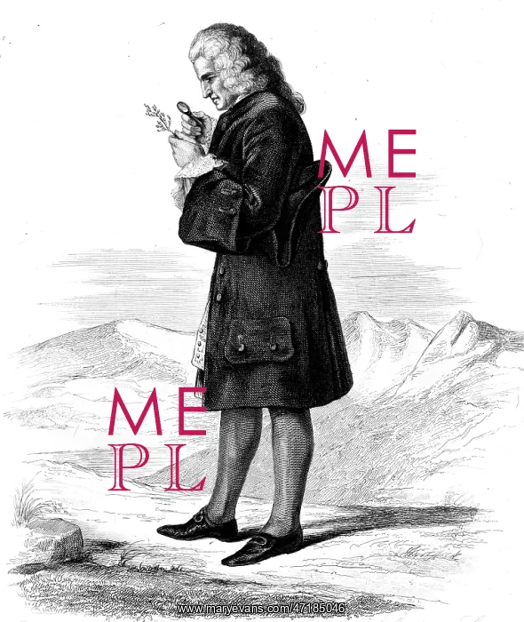  : BERNARD DE JUSSIEU