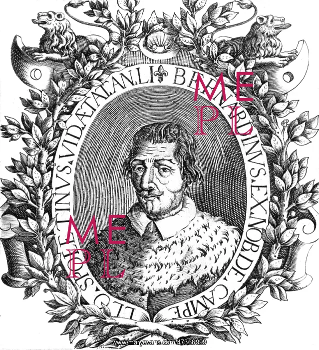 : BERNARDINO CAMPELLO : BERNARDINO CAMPELLO