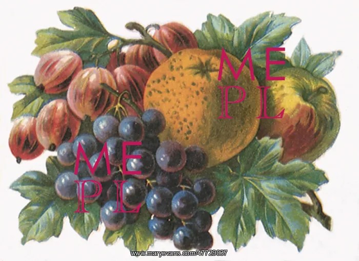 : Berries, Apples, Citrus : Berries, Apples, Citrus