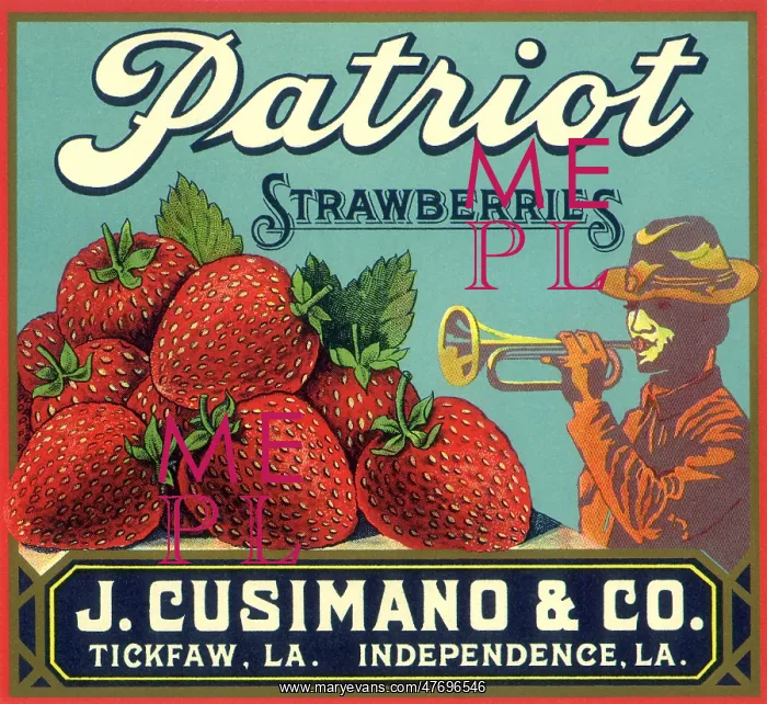  : Berries and Trumpeter