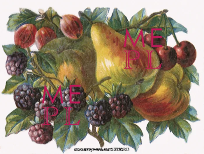 : Berry Medley : Berry Medley