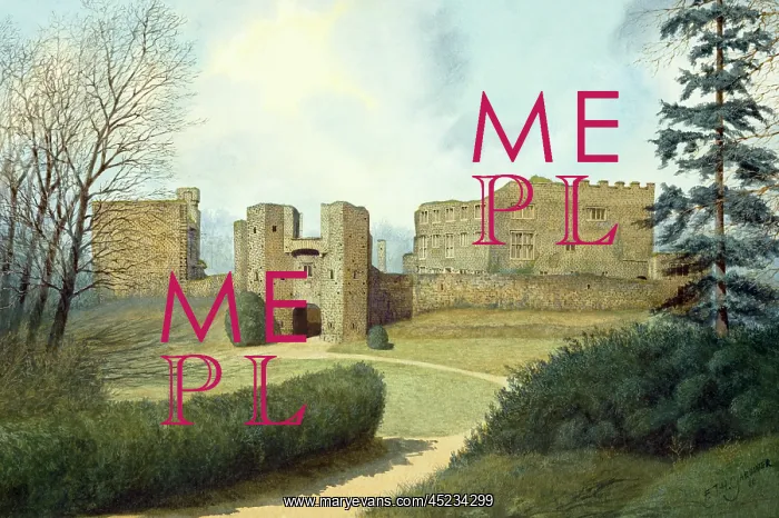 : Berry Pomeroy Castle : Berry Pomeroy Castle