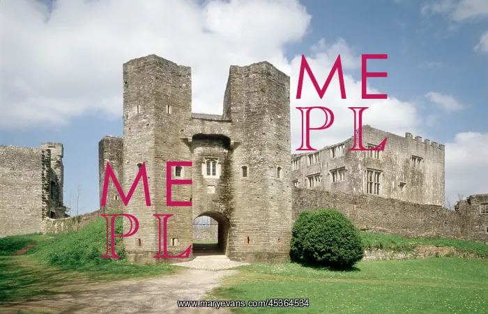: Berry Pomeroy Castle : Berry Pomeroy Castle