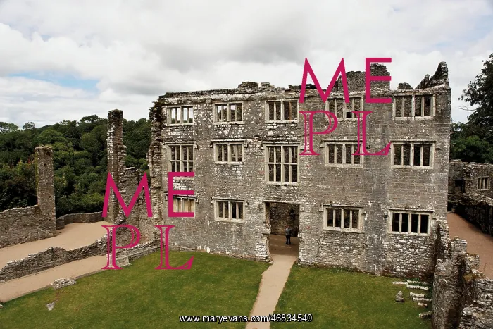 : Berry Pomeroy Castle near Totnes, Devon : Berry Pomeroy Castle near Totnes, Devon