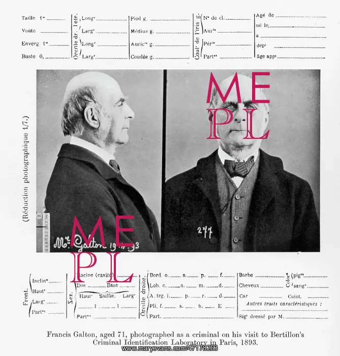 : Bertillon Photo - Francis Galton : Bertillon Photo - Francis Galton