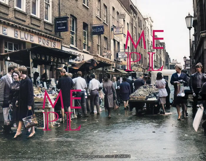 : BERWICK STREET MARKET : BERWICK STREET MARKET