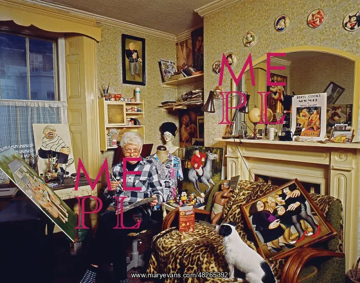  : Beryl Cook - Artist