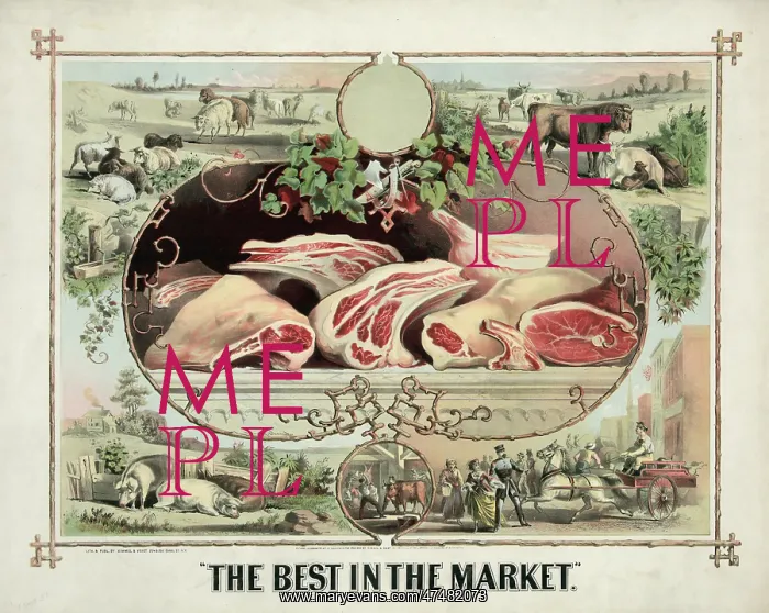 : The best in the market : The best in the market