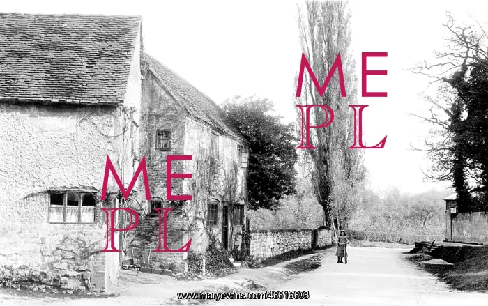  : Betchworth, Village 1906