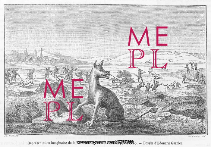  : Bete Du Gevaudan