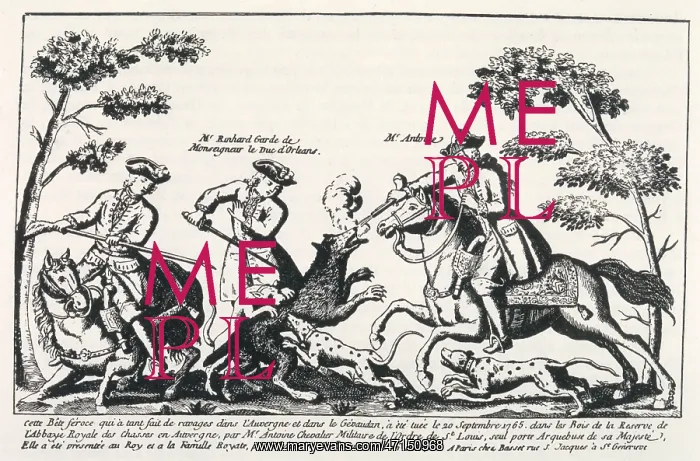 : BETE DU GEVAUDAN / DEVIGNE : BETE DU GEVAUDAN / DEVIGNE