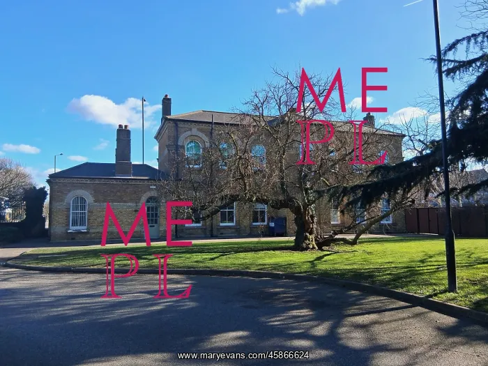 : Bethnal Green School for the Juvenile Poor, Leytonstone : Bethnal Green School for the Juvenile Poor, Leytonstone