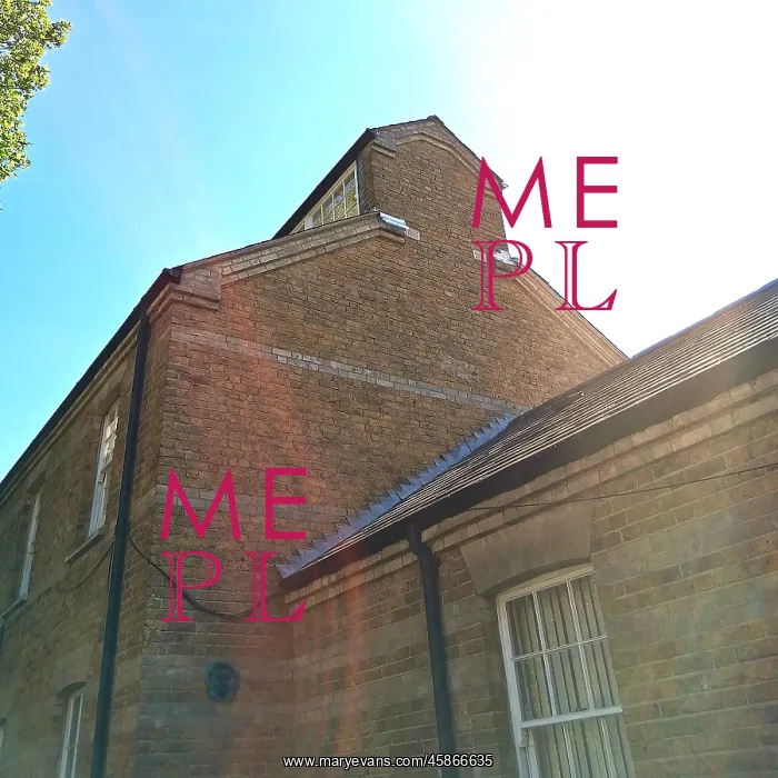  : Bethnal Green School for the Juvenile Poor, Leytonstone