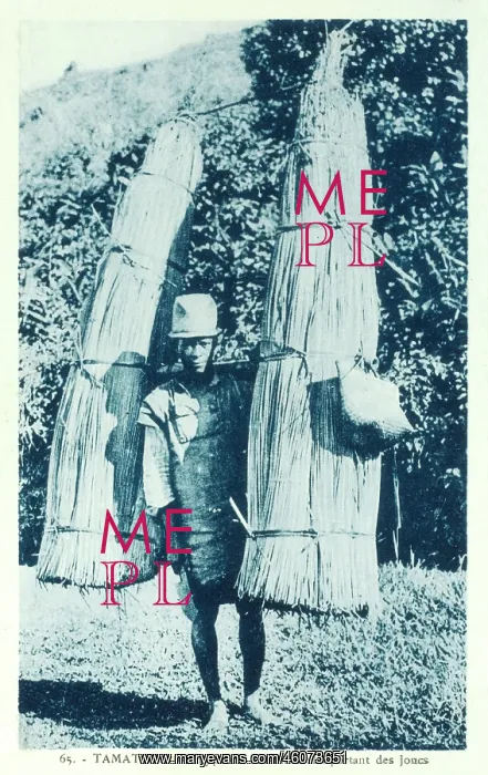 : Betsimisaraka man carrying reeds : Betsimisaraka man carrying reeds