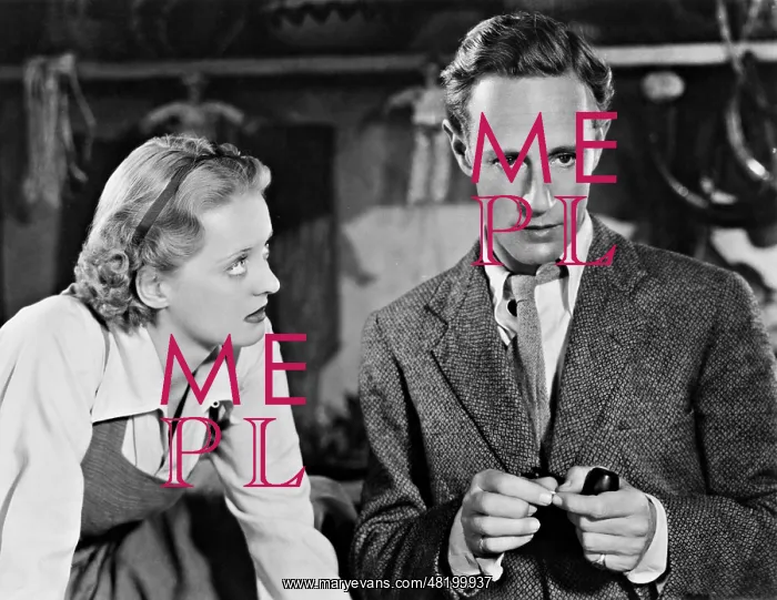 : Bette Davis and Leslie Howard in The Petrified Forest, 193 : Bette Davis and Leslie Howard in The Petrified Forest, 193