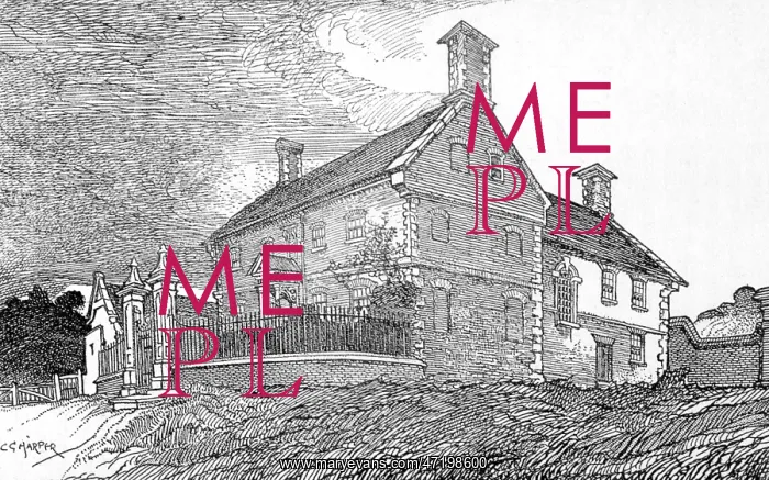 : BETTISCOMBE MANOR HOUSE : BETTISCOMBE MANOR HOUSE