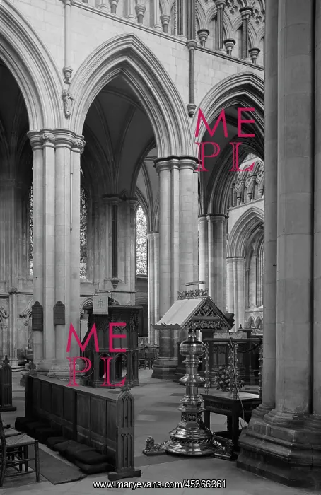 : Beverley Minster : Beverley Minster