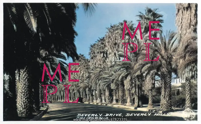: Beverly Drive, Beverly Hills, Hollywood, California, USA : Beverly Drive, Beverly Hills, Hollywood, California, USA