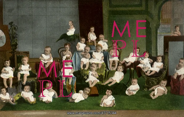 : Bevy of Babies : Bevy of Babies