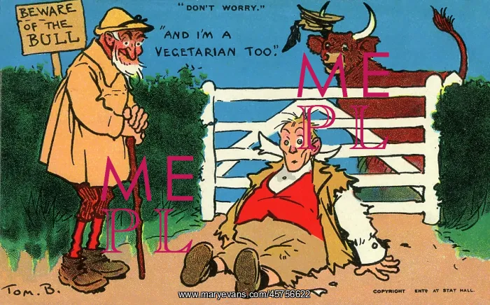 : Beware of the Bull - Man comes a cropper : Beware of the Bull - Man comes a cropper