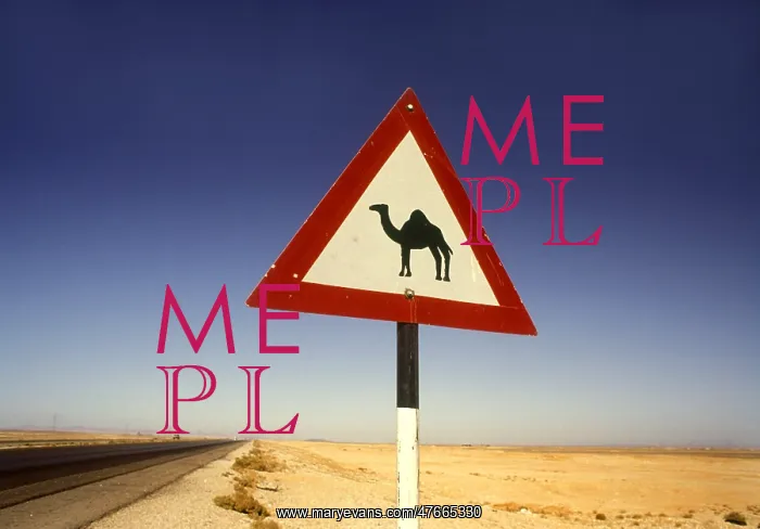 : Beware of Camels sign, Jordan : Beware of Camels sign, Jordan