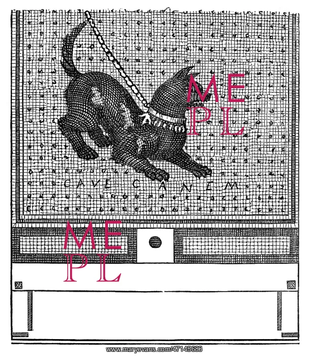 : Beware of the dog mosaic